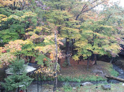 CA3J02610001.jpg