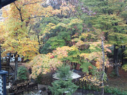 CA3J02620001.jpg