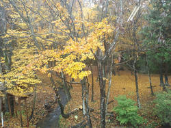CA3J03010001.jpg