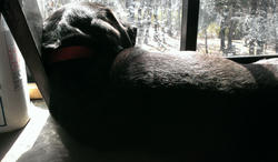 IMAG0252.jpg
