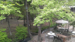 IMAG0570.jpg