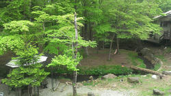 IMAG0571.jpg