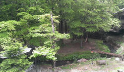 IMAG0578.jpg