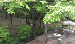 IMAG0577.jpg