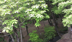 IMAG0576.jpg