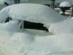 100104_1108~01.jpg