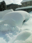 100104_1107~01.jpg