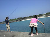 2011042409320000.jpg