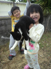 2011040516060000.jpg