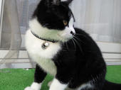 2011041118150000.jpg