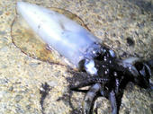 2011041623000000.jpg