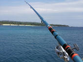 2011042313570000.jpg