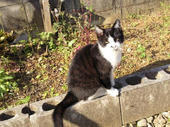 2011040308340000.jpg
