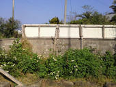 2011040308330000.jpg