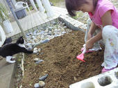 2011040310180001.jpg