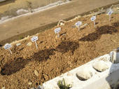 2011040315420000.jpg