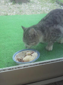 2011030316390001.jpg
