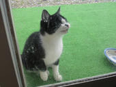 2011021216130003.jpg