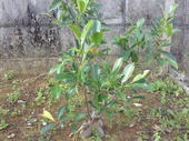 2011020608540001.jpg