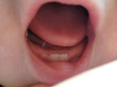 2011012214080000.jpg