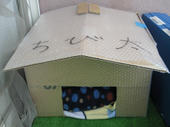 2011010210050000.jpg