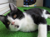 2011010210050003.jpg