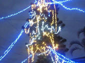 blog_import_4d26e8115cd97.jpg