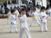 blog_import_4d26e7876bc99.jpg