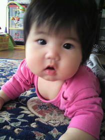 blog_import_4d26e76902886.jpg