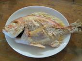 blog_import_4d26e720c378a.jpg
