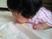 blog_import_4d26e6f1a238d.jpg