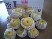 blog_import_4d26e70480a32.jpg