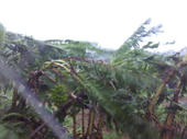 blog_import_4d26e6ac0fb73.jpg