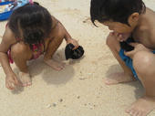 blog_import_4d26e665a8104.jpg