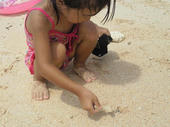 blog_import_4d26e66719a83.jpg