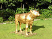 blog_import_4d26e64fe4de5.jpg