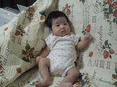 blog_import_4d26e5f21a84d.jpg