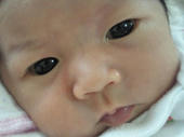 blog_import_4d26e52a34cc5.jpg