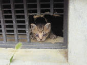 blog_import_4d26e48619cd0.jpg