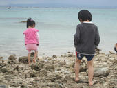blog_import_4d26e43dddadf.jpg