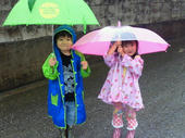 blog_import_4d26e447d2e96.jpg