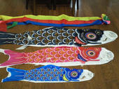 blog_import_4d26e44699512.jpg