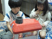 blog_import_4d26e34d5b340.jpg