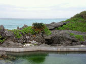 blog_import_4d26e3156fe6e.jpg