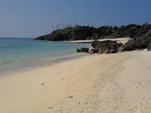blog_import_4d26e2978a1a2.jpg
