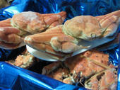 blog_import_4d26e1d8dd8d6.jpg