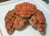 blog_import_4d26e1da290ba.jpg