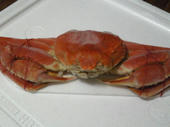 blog_import_4d26e1db72715.jpg
