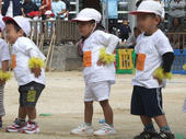 blog_import_4d26e11f93c29.jpg