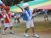 blog_import_4d26e111c1c65.jpg